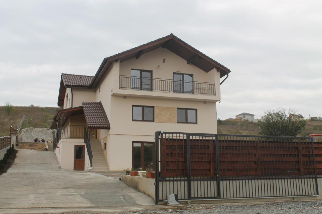 Pensiunea Giulia Home Dezmir 外观 照片