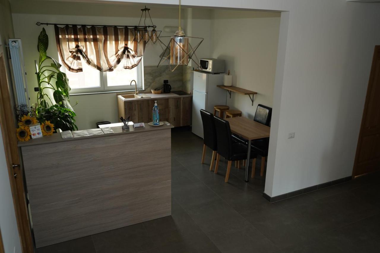 Pensiunea Giulia Home Dezmir 外观 照片